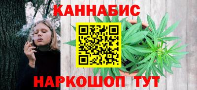 мдпв Гусев