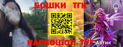 мдпв Гусев