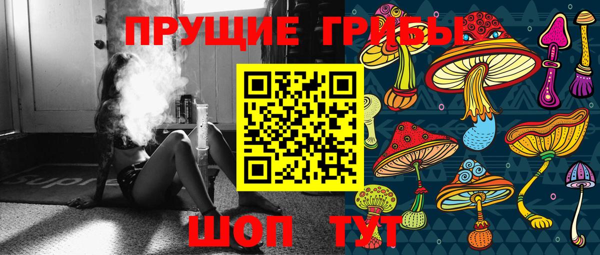 Галлюциногенные грибы Psilocybine cubensis Нурлат